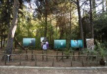 Shinrin-yoku 森林浴 Forest bathing